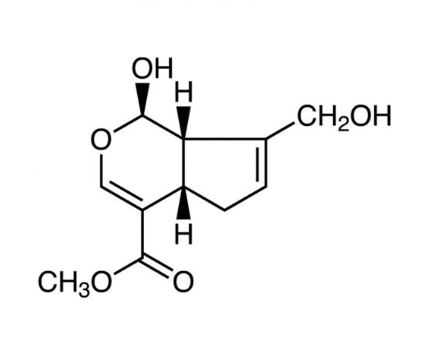 G101204 京尼平 ,98%